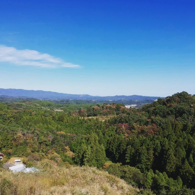 Instagram 投稿 17842541416780961